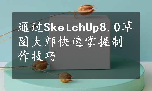 通过SketchUp8.0草图大师快速掌握制作技巧