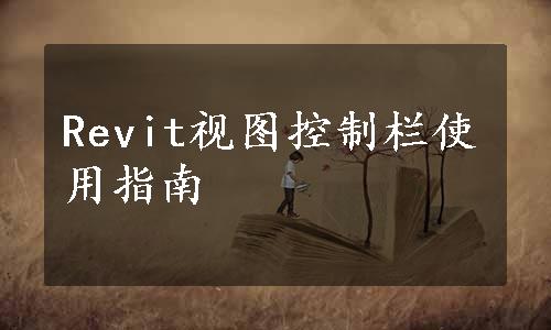 Revit视图控制栏使用指南