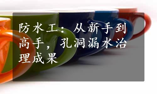 防水工：从新手到高手，孔洞漏水治理成果