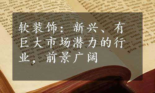 软装饰：新兴、有巨大市场潜力的行业，前景广阔