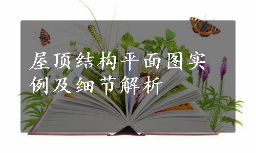 屋顶结构平面图实例及细节解析