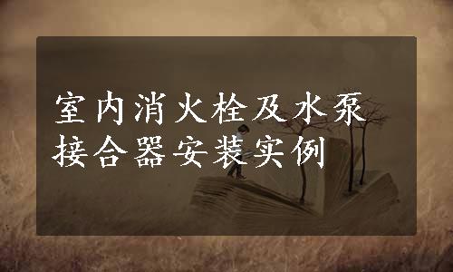 室内消火栓及水泵接合器安装实例