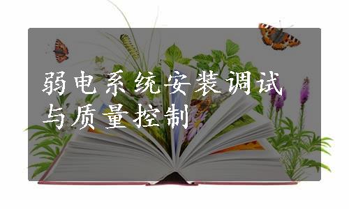 弱电系统安装调试与质量控制