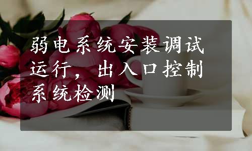 弱电系统安装调试运行，出入口控制系统检测