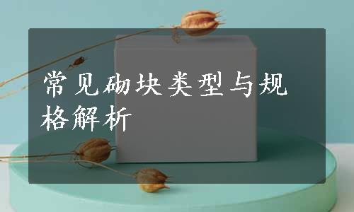 常见砌块类型与规格解析