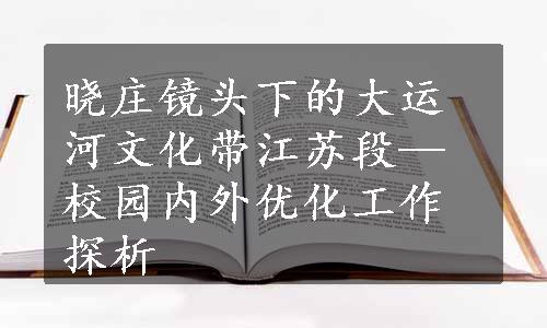 晓庄镜头下的大运河文化带江苏段—校园内外优化工作探析