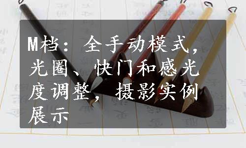 M档：全手动模式，光圈、快门和感光度调整，摄影实例展示