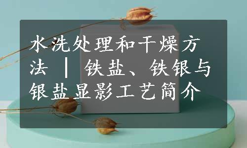 水洗处理和干燥方法 | 铁盐、铁银与银盐显影工艺简介