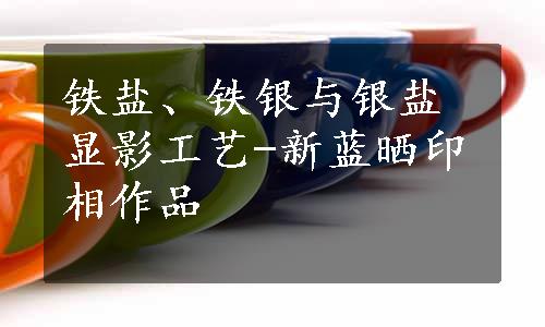 铁盐、铁银与银盐显影工艺-新蓝晒印相作品