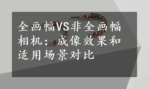 全画幅VS非全画幅相机：成像效果和适用场景对比