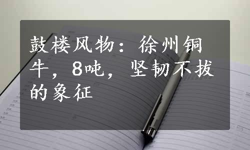 鼓楼风物：徐州铜牛，8吨，坚韧不拔的象征