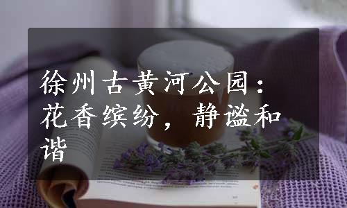 徐州古黄河公园：花香缤纷，静谧和谐