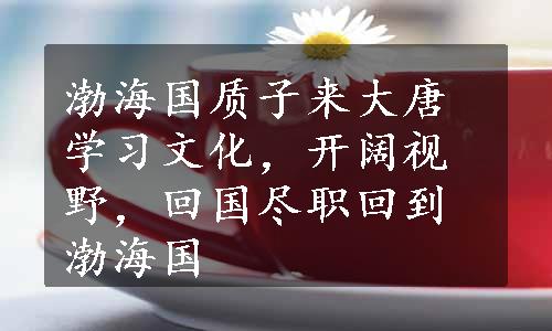 渤海国质子来大唐学习文化，开阔视野，回国尽职回到渤海国