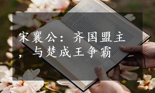 宋襄公：齐国盟主，与楚成王争霸