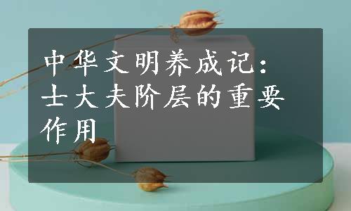 中华文明养成记：士大夫阶层的重要作用