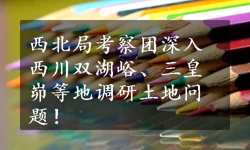 西北局考察团深入西川双湖峪、三皇峁等地调研土地问题！