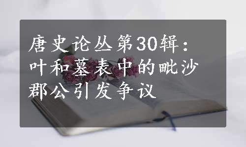 唐史论丛第30辑：叶和墓表中的毗沙郡公引发争议