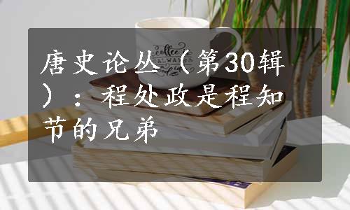 唐史论丛（第30辑）：程处政是程知节的兄弟