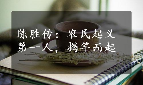 陈胜传：农民起义第一人，揭竿而起