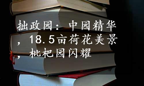 拙政园：中园精华，18.5亩荷花美景，枇杷园闪耀