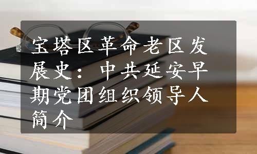 宝塔区革命老区发展史：中共延安早期党团组织领导人简介