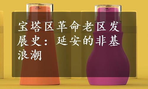 宝塔区革命老区发展史：延安的非基浪潮