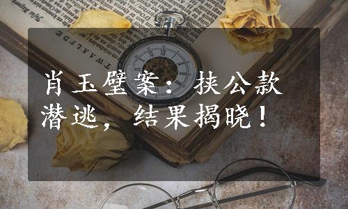 肖玉璧案：挟公款潜逃，结果揭晓！