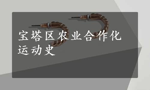 宝塔区农业合作化运动史