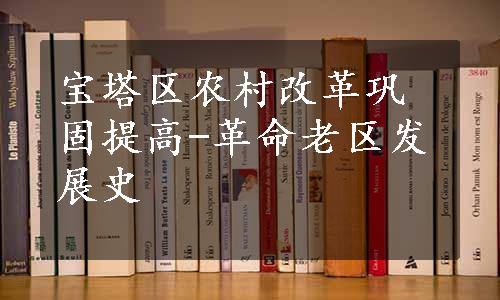 宝塔区农村改革巩固提高-革命老区发展史