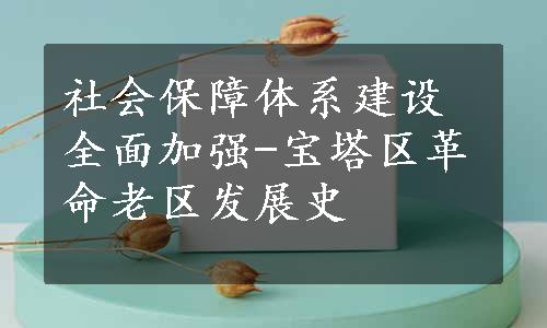 社会保障体系建设全面加强-宝塔区革命老区发展史