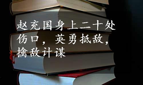 赵充国身上二十处伤口，英勇抵敌，擒敌计谋