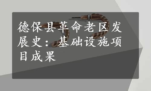 德保县革命老区发展史：基础设施项目成果