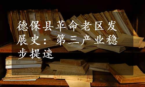 德保县革命老区发展史：第三产业稳步提速