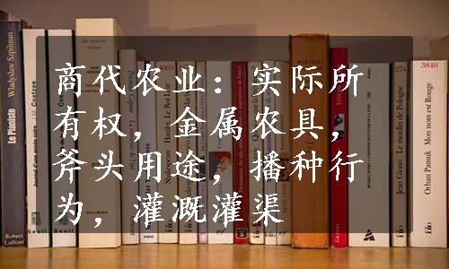 商代农业：实际所有权，金属农具，斧头用途，播种行为，灌溉灌渠