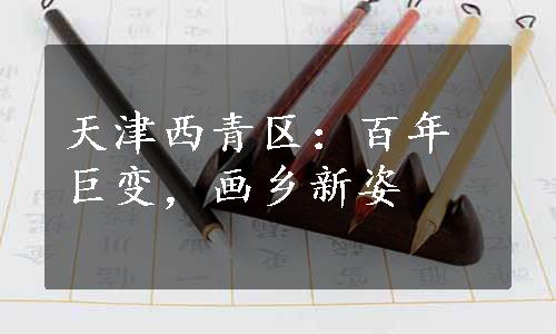 天津西青区：百年巨变，画乡新姿