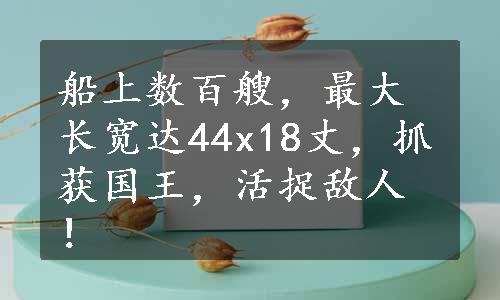 船上数百艘，最大长宽达44x18丈，抓获国王，活捉敌人！