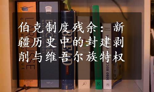 伯克制度残余：新疆历史中的封建剥削与维吾尔族特权