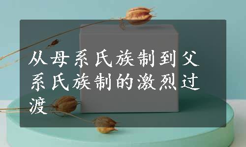 从母系氏族制到父系氏族制的激烈过渡