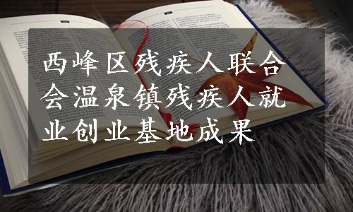 西峰区残疾人联合会温泉镇残疾人就业创业基地成果