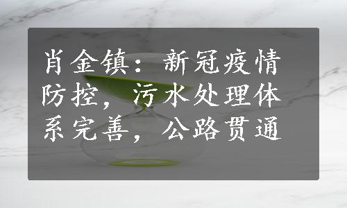 肖金镇：新冠疫情防控，污水处理体系完善，公路贯通