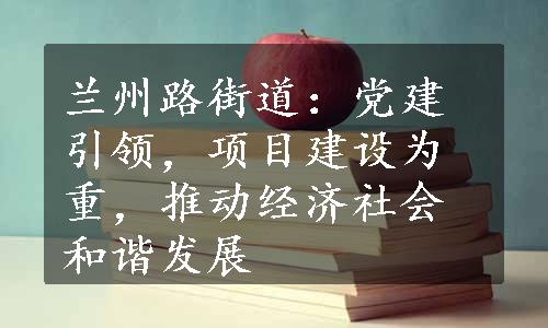 兰州路街道：党建引领，项目建设为重，推动经济社会和谐发展