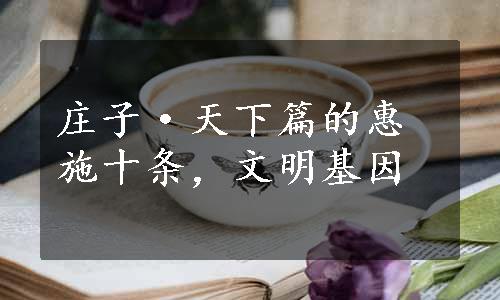 庄子·天下篇的惠施十条，文明基因