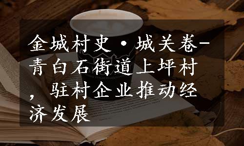 金城村史·城关卷-青白石街道上坪村，驻村企业推动经济发展