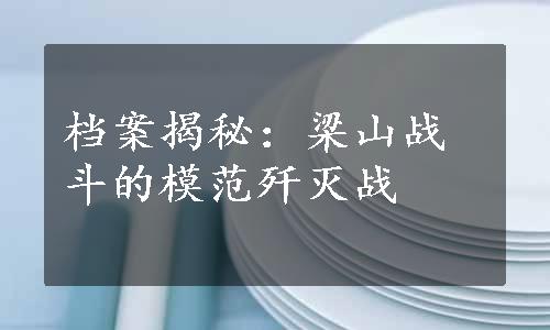 档案揭秘：梁山战斗的模范歼灭战