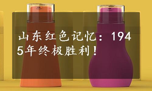 山东红色记忆：1945年终极胜利！