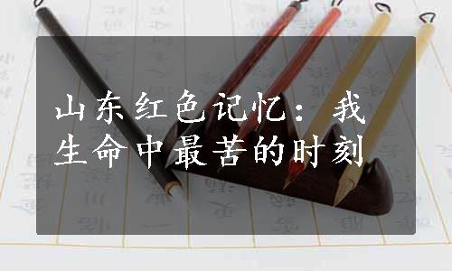 山东红色记忆：我生命中最苦的时刻