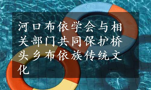 河口布依学会与相关部门共同保护桥头乡布依族传统文化