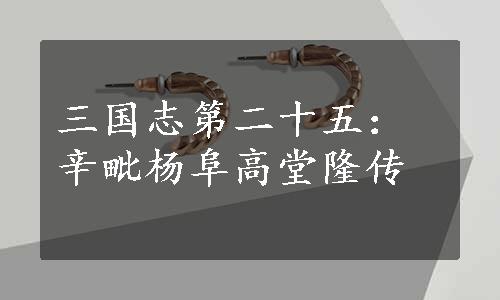 三国志第二十五：辛毗杨阜高堂隆传