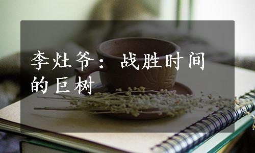 李灶爷：战胜时间的巨树