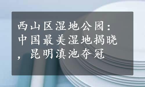 西山区湿地公园：中国最美湿地揭晓，昆明滇池夺冠